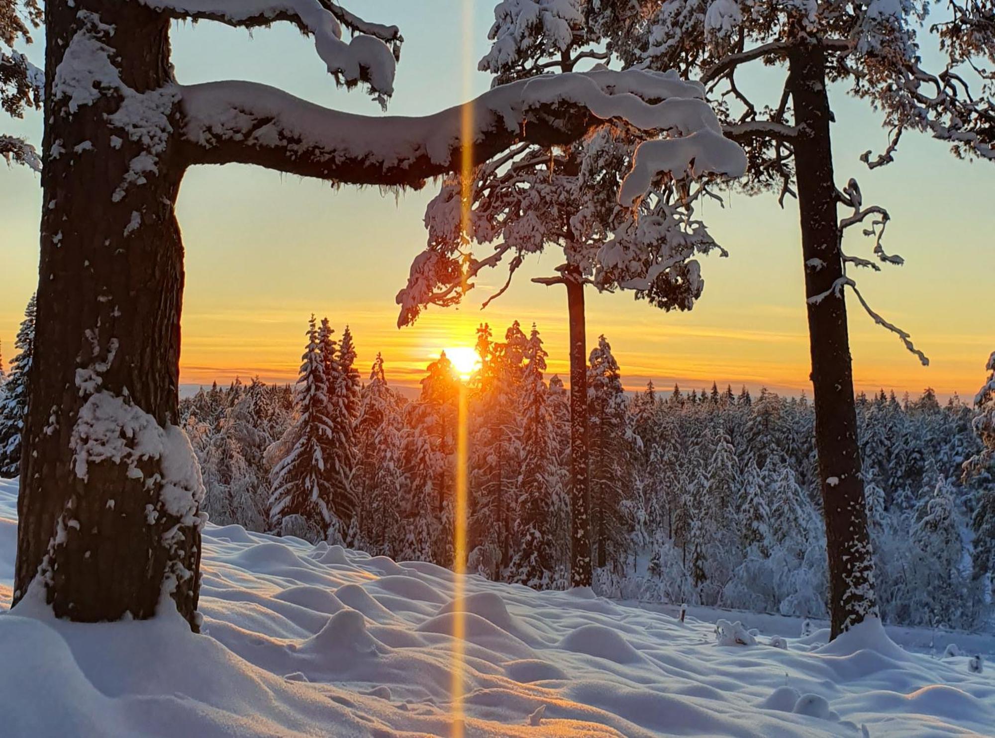 Stationshuset Dalarna Apartments Sörsjön 외부 사진